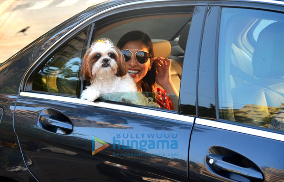 sophie choudry spotted with her pet at bandstand 6