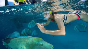 HOT! Parineeti Chopra goes snorkeling in the ocean [See Pics]