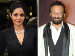 No Mr India 2 without Sridevi, Shekhar Kapur confirms