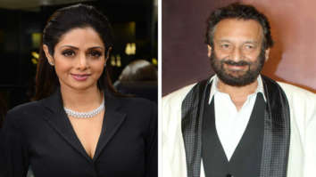 No Mr India 2 without Sridevi, Shekhar Kapur confirms
