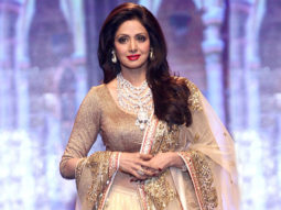 Sridevi honored at the BRICS Business Forum Leadership Awards