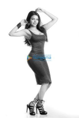 Celebrity Photo Of Sherlyn Chopra