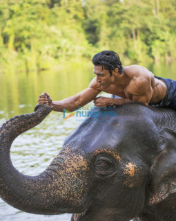 Movie stills of the movie Junglee