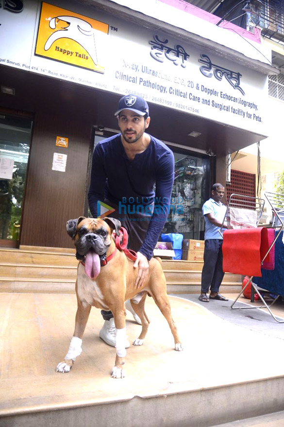 Sidharth Malhotra spotted at a dog’ hospital in Bandra