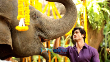 REVEALED: Vidyut Jammwal starrer Junglee to release on April 5