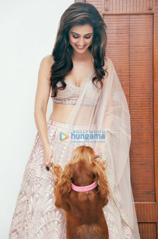 Celebrity Photos of Disha Patani