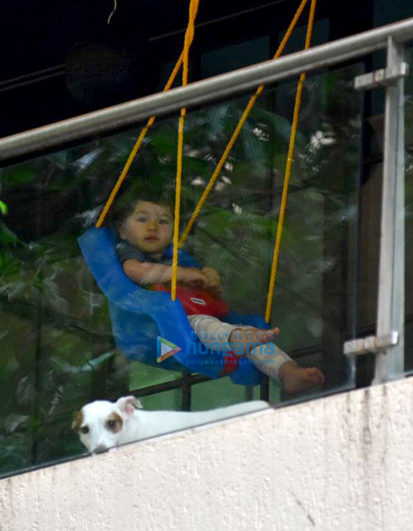 taimur ali khan snapped on a swing 5
