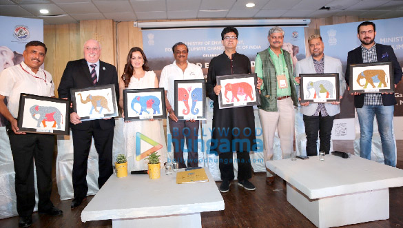 dia mirza graces for elephant day in delhi 2