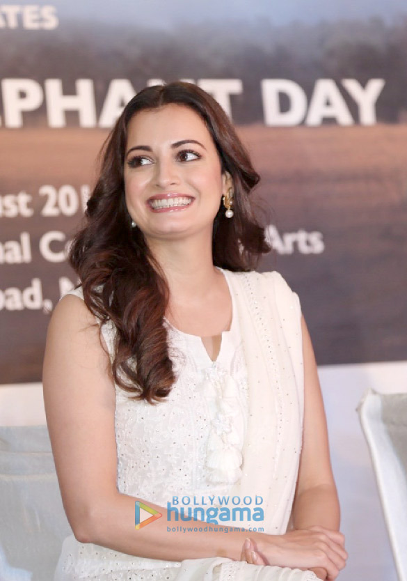 dia mirza graces for elephant day in delhi 4