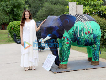 Dia Mirza graces for Elephant day in Delhi