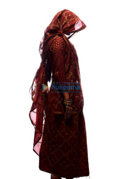 Movie Stills Of The Movie Stree