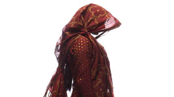 Box Office: Stree Day 19 in overseas