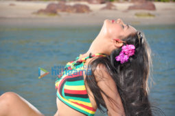 Movie Stills Of The Movie Maal Road Dilli