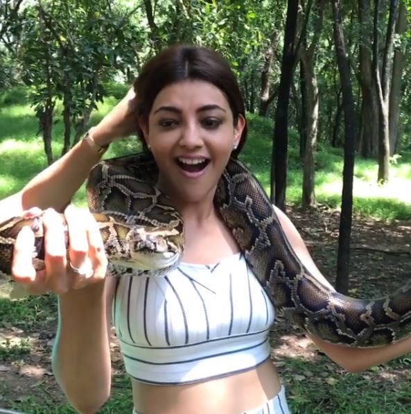 Kajal Bhojpuri Xxx Video - Paris Paris actress Kajal Aggarwal is enjoying her time in Thailand and the  Queen actress' daredevilry video will leave you surprised! : Bollywood News  - Bollywood Hungama