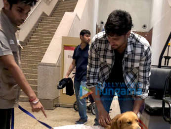 Sidharth Malhotra snapped with Therapy Dogs at the airport