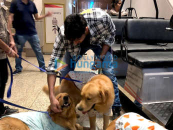 Sidharth Malhotra snapped with Therapy Dogs at the airport