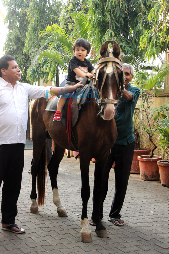 Taimur Ali Khan snapped enjoying horse ride at Amrita Arora’s house