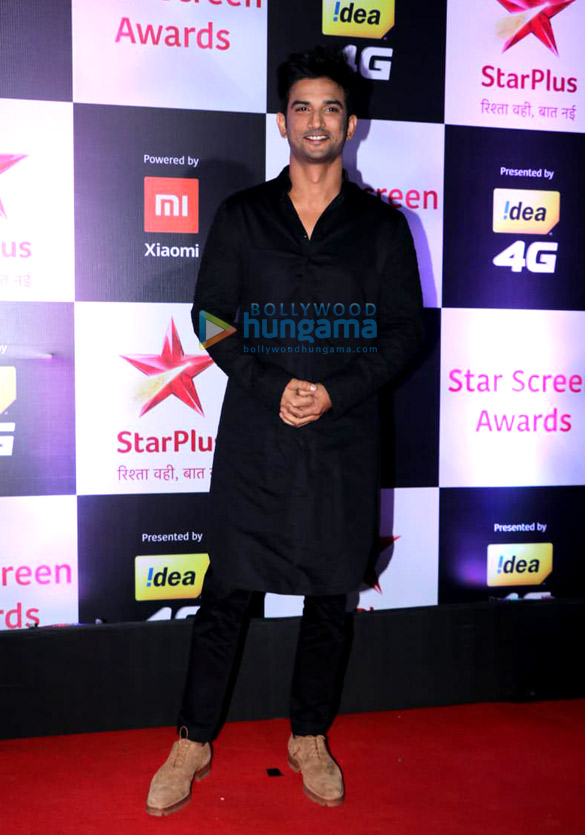 celebs grace the star screen awards 2018 30