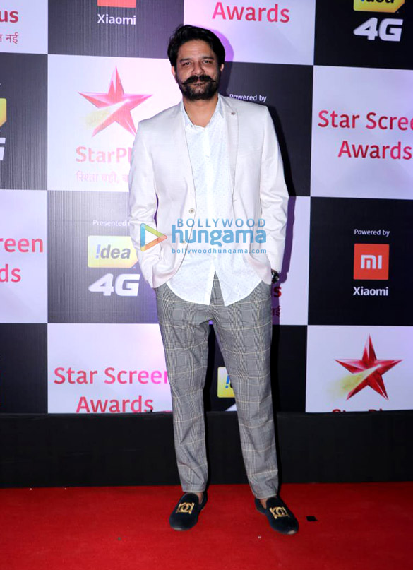 celebs grace the star screen awards 2018 6