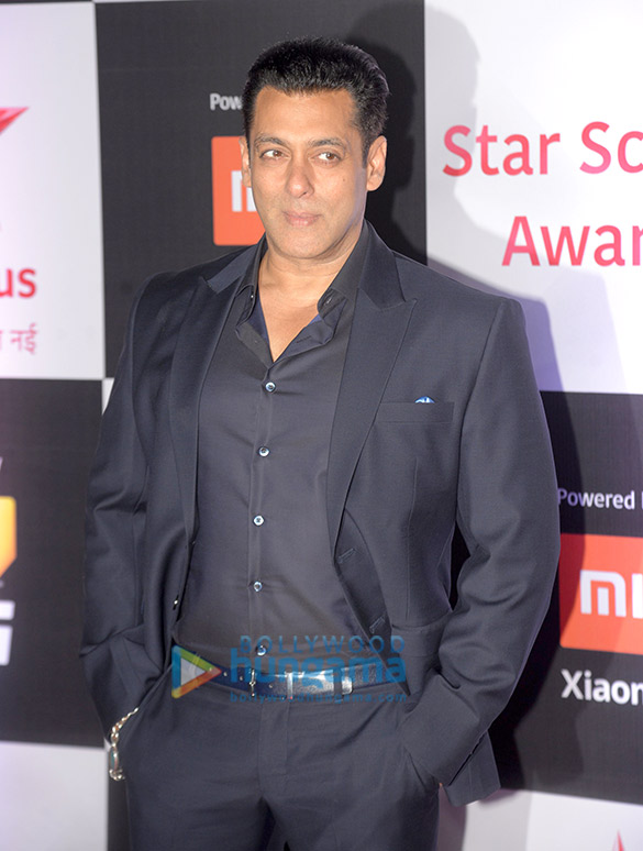 celebs grace the star screen awards 201867 7