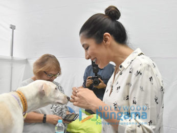 Farah Khan and Krishna Shroff and others at St Teresa Boys School for World Pet Adoption 2018
