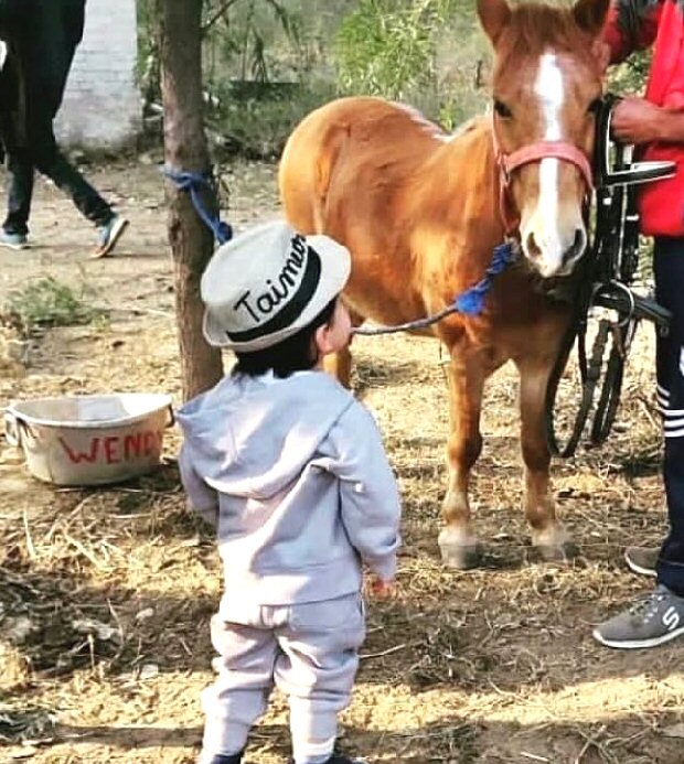 Little Prince Of Pataudi Taimur Ali Khan chills a pony, befitting his royal lineage (see pic) Little Prince Of Pataudi Taimur Ali Khan chills a pony, befitting his royal lineage (see pic)