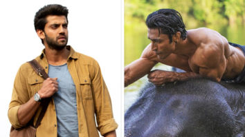 BO update: Notebook stars slow, Junglee opens to 10%