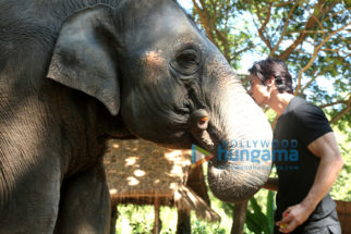 Movie Stills Of The Movie Junglee