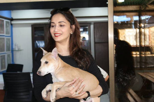 Madhuri Dixit adopts a dog from PETA on son Arin's birthday