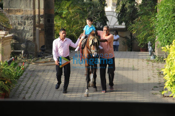 taimur ali khan snapped taking horse ride near amrita aroras residence 3