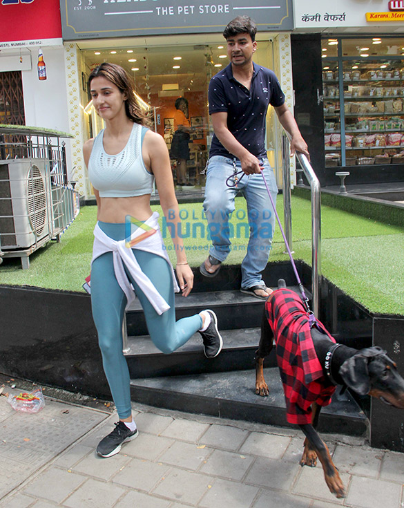 disha patani snapped at a pet shop in bandra 4