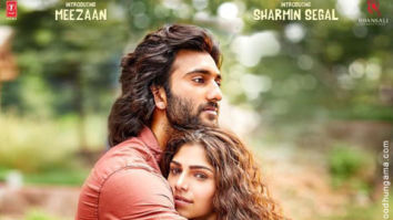 First Look Of Malaal