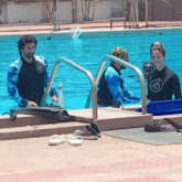 WATCH: Malang stars Disha Patani and Aditya Roy Kapur train in swimming pool