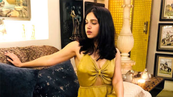Bhumi Pednekar hits a perfect ‘Saand Ki Aankh’ with her outfit