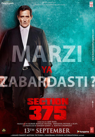 First Look Of The Movie Section 375