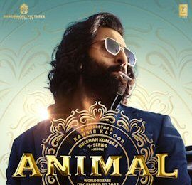 Animal Animal