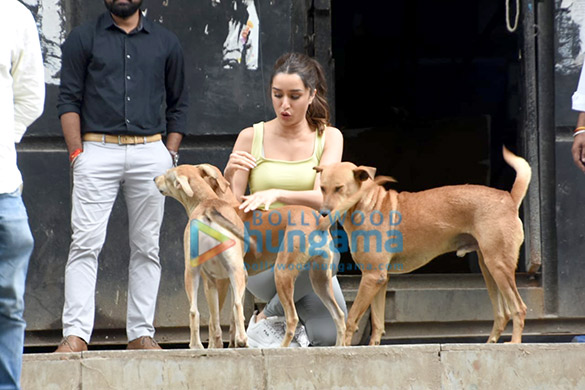 photos shraddha kapoor snapped playing with stray dogs 2