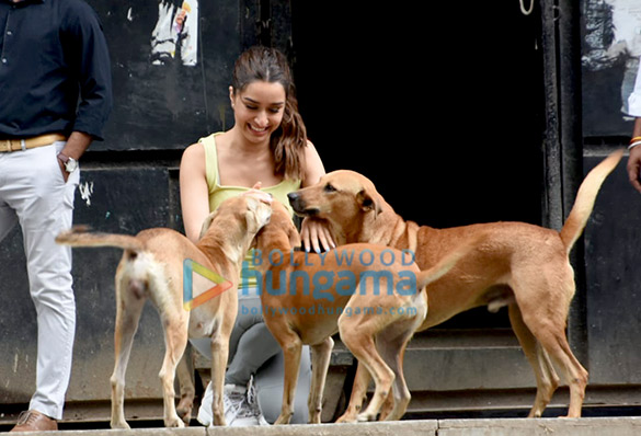 Photos: Shraddha Kapoor snapped playing with stray dogs