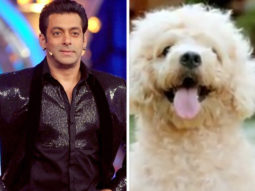 Bigg Boss 13: Contestants in Salman Khan’s show to get a furry friend?