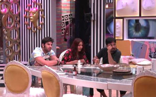 Bigg Boss 13: Who will Shehnaaz Gill choose out of Siddhartha Dey and Paras Chhabra?