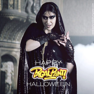 First Look Of The Movie Pagalpanti