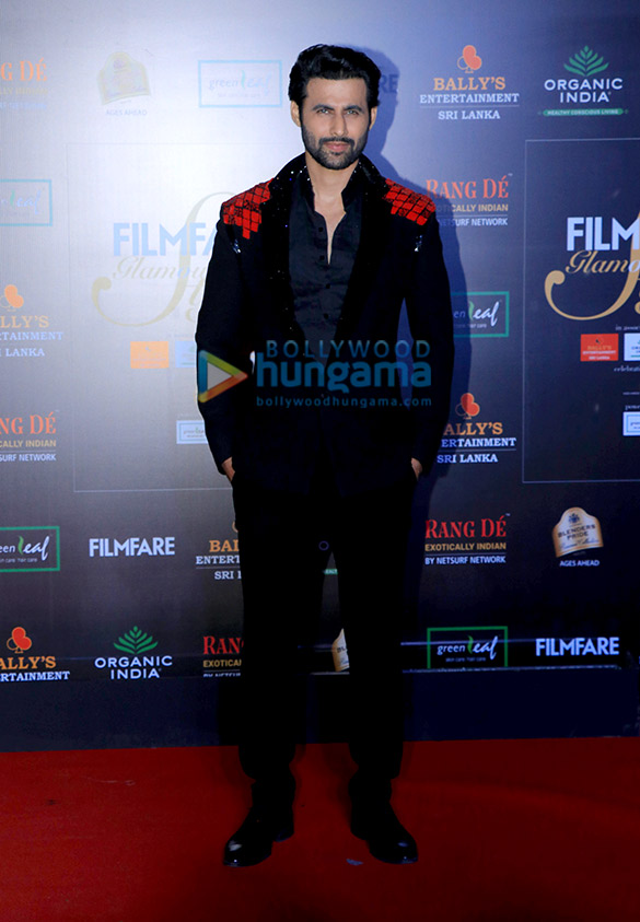 photos celebs grace filmfare glamour and style awards 2019 14 2