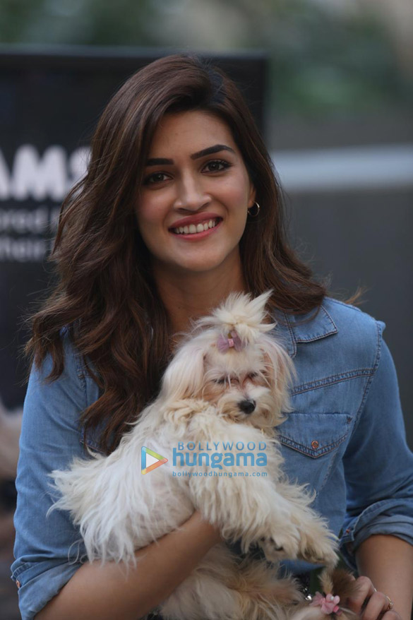 photos kriti sanon at the launch of iams pet food brand 6