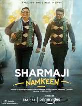 Sharmaji Namkeen