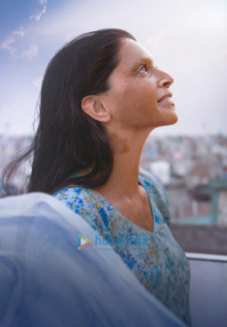 Movie Stills of the movie Chhapaak
