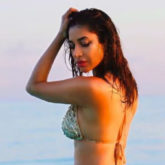 Sophie Choudry dreams of paradise in a shimmery golden bikini; see pic