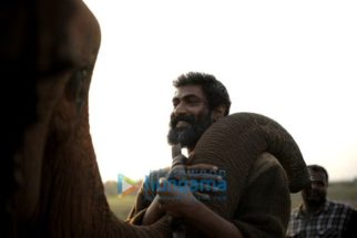 Movie Stills Of The Movie Haathi Mere Saathi