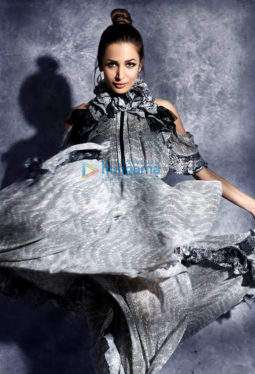 Celebrity Photos of Malaika Arora
