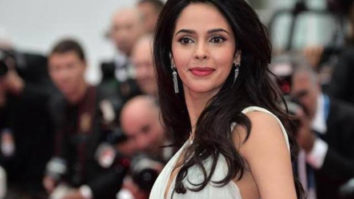 12 years after Dasavataaram, Mallika Sherawat to make a comeback in Kollywood with Pambattam 12 years after Dasavataaram, Mallika Sherawat to make a comeback in Kollywood with Pambattam