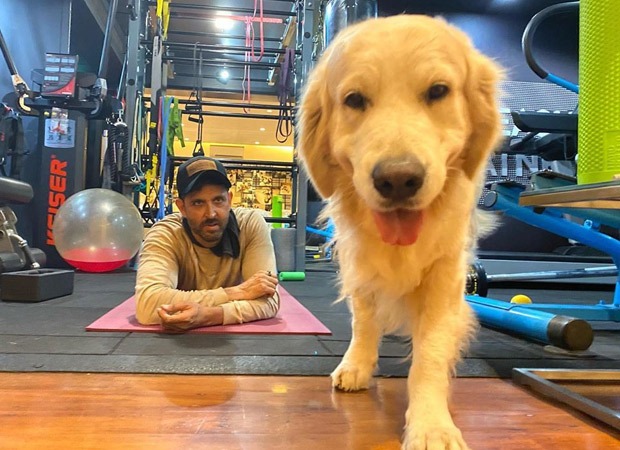 Coronavirus outbreak: Hrithik Roshan's pet dog Zane has an appeal for you